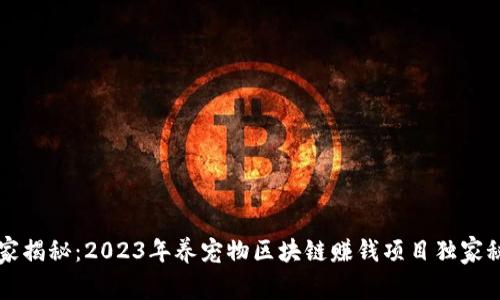专家揭秘：2023年养宠物区块链赚钱项目独家秘诀