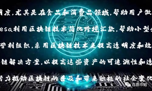 在区块链领域，许多公司致力于推动包容性和可访问性的解决方案。以下是一些显著的公司和项目，它们在区块链技术应用方面积极参与，并推动更广泛的用户群体参与。

1. **Bitcoin and Ethereum**: 作为最著名的区块链平台，Bitcoin和Ethereum通过去中心化和开放的网络，吸引了世界各地的用户，促进了金融包容性。

2. **Ripple**: Ripple专注于跨境支付和汇款，旨在降低交易成本，提高资金流动速度，使即使是小额用户也能享受全球金融服务。

3. **Stellar**: 该项目旨在通过区块链技术连接金融机构，促进简化、低成本的交易，为未银行服务的人群提供帮助。

4. **Celo**: Celo专注于通过移动设备为用户提供金融服务，尤其是在发展中国家的用户，促进了金融包容性。

5. **Provenance**: 这个平台使用区块链来改善供应链透明度，尤其是在食品和消费品领域，帮助用户做出更加知情的消费选择。

6. **BitPesa**: 作为一家专注于非洲的金融科技公司，BitPesa利用区块链技术简化跨境汇款，帮助小型企业和个人更好地接入全球市场。

7. **Kiva**: 这是一个旨在通过小额贷款促进经济发展的非营利组织，采用区块链技术来提高透明度和效率。

8. **Everledger**: 专注于为奢侈品和有价值资产提供区块链解决方案，以提高这些资产的可追溯性和透明度。

这些公司无论是在技术应用、市场需求还是社会影响方面，都努力推动区块链的普及和带来积极的社会变化。