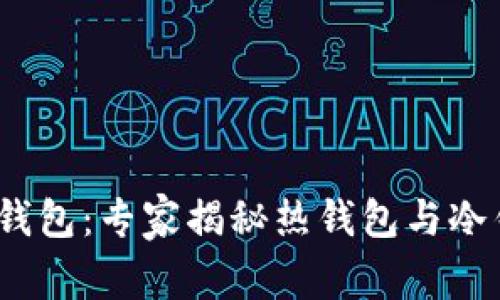 Tokentokenim钱包：专家揭秘热钱包与冷钱包的独家秘诀