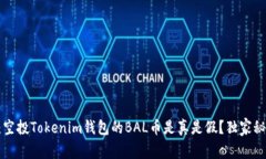 专家揭秘：空投Tokenim钱包