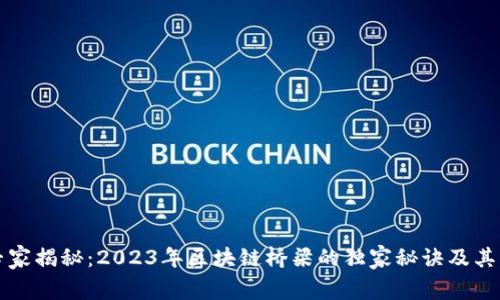 区块链专家揭秘：2023年区块链桥梁的独家秘诀及其类型详解