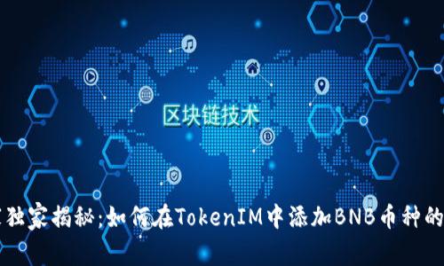 专家独家揭秘：如何在TokenIM中添加BNB币种的秘诀