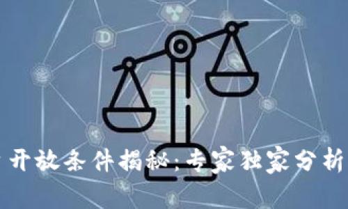 区块链平台开放条件揭秘：专家独家分析与成功秘诀