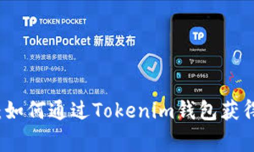专家独家揭秘：如何通过Tokenim钱包获得以太雾的秘诀