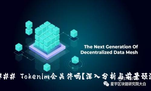 ### Tokenim会关停吗？深入分析与前景预测