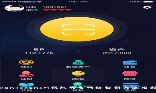 TokenTokenIM钱包的主网络解析与使用指南