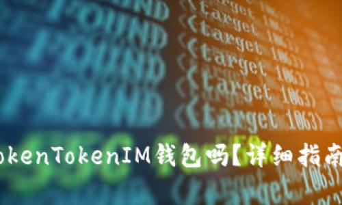 USDT可以放入TokenTokenIM钱包吗？详细指南与常见问题解析