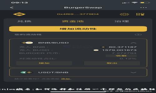 Tokenim域名：如何选择和注册一个理想的区块链域名