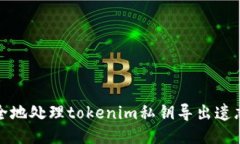 如何安全地处理tokenim私钥