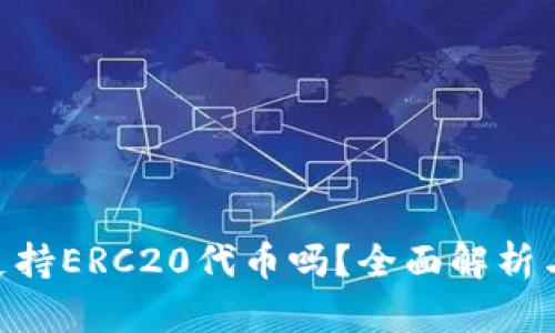 Tokenim支持ERC20代币吗？全面解析与实用指南