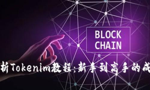 全面解析Tokenim教程：新手到高手的成长之路