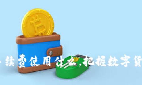Tokenim 的手续费使用什么，把握数字货币交易的核心