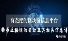 比特币区块链的名称及其相关信息详解