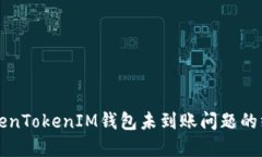 解决TokenTokenIM钱包未到账问题的终极指南