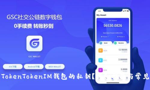 如何查看TokenTokenIM钱包的私钥？详细指南与常见问题解答