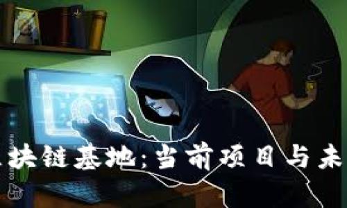 探索贵州区块链基地：当前项目与未来发展展望